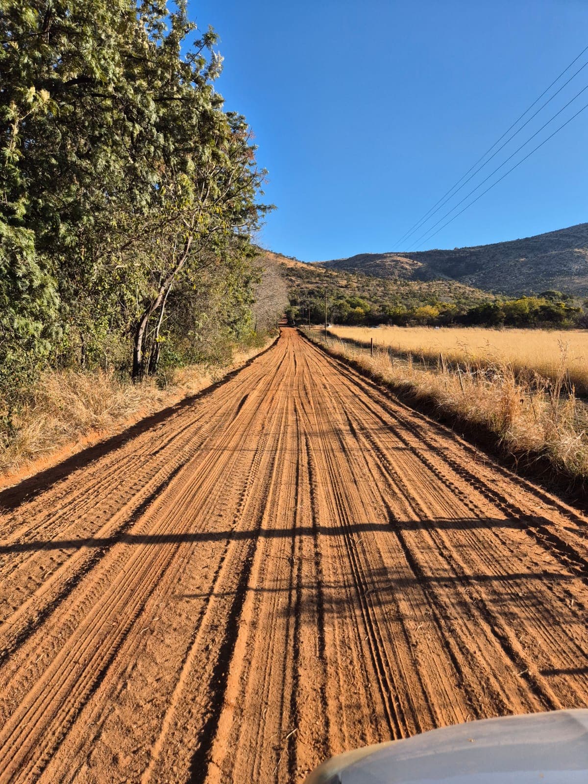 A family walking through a field at sunset.
